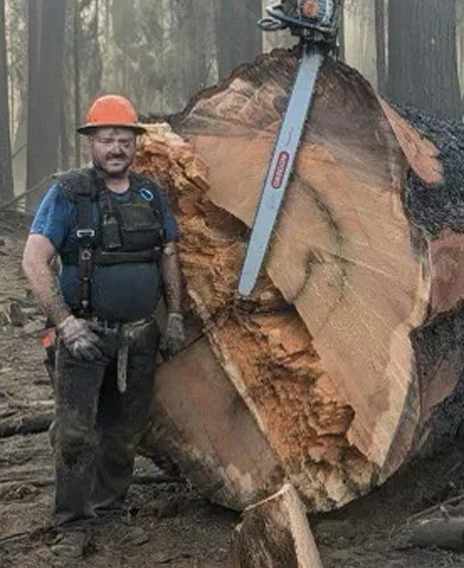 Custom Logging Solutions in Fortuna, CA