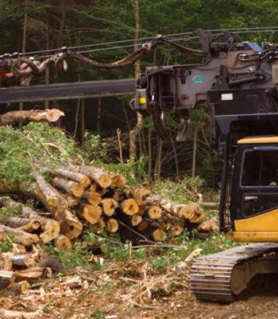 Sustainable Logging & Timber Harvesting in Fortuna, CA