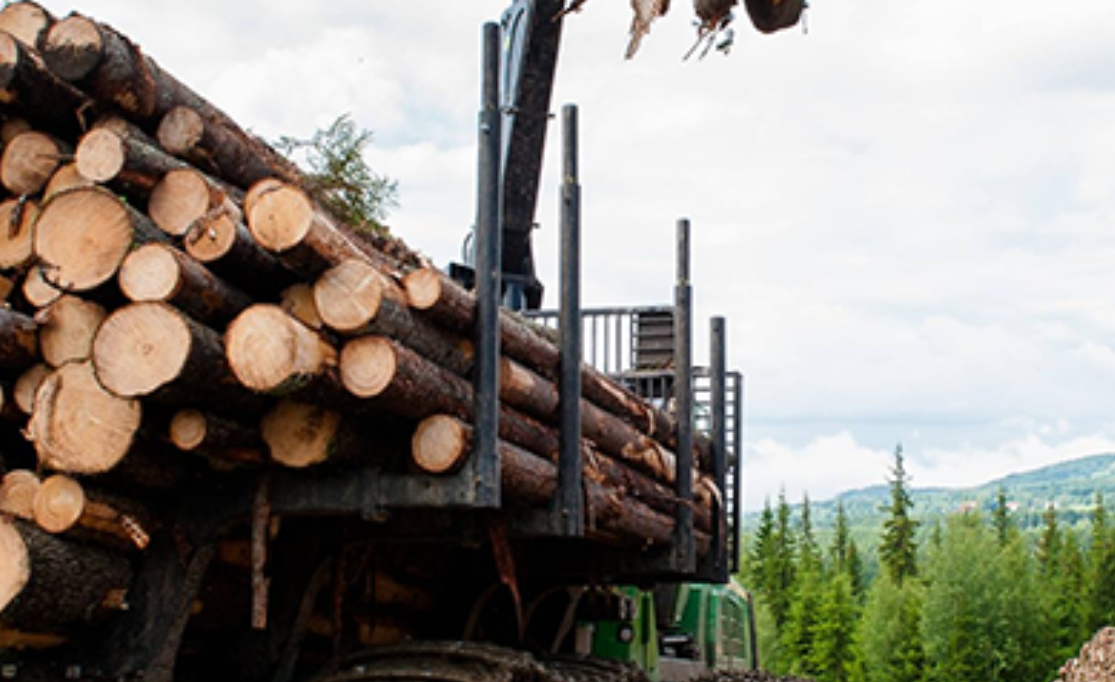 Forest Management Humboldt County